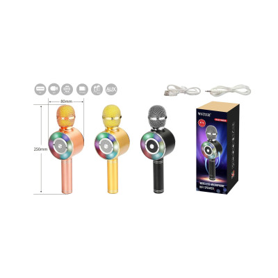 Microfono con Entrada USB/TF Card/Aux y Radio FM (250*80mm)