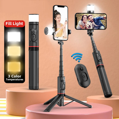 Palo Selfie con Luz Full Light 765mm