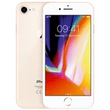iPhone 7 / 8
